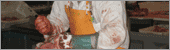 Agro viandes D�coupe de viandes France Belgique